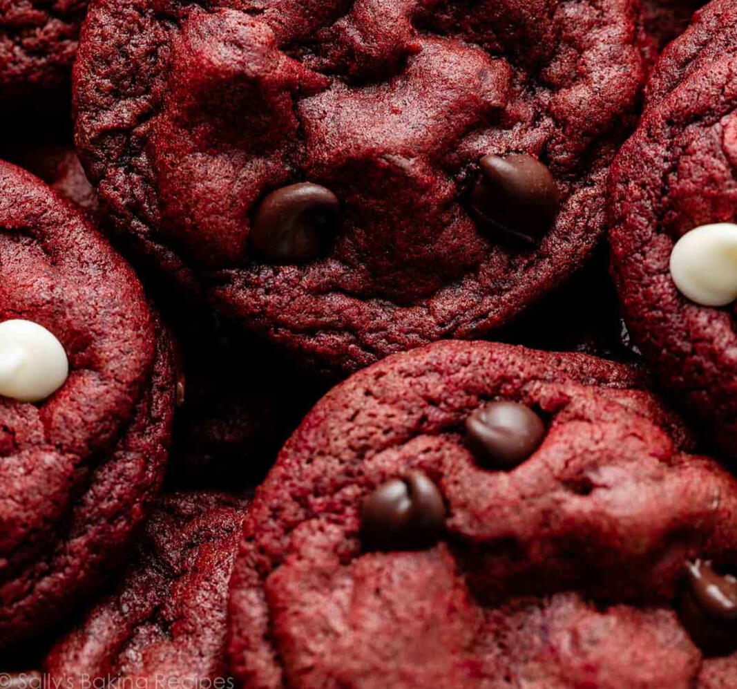 Faucibus nisl tincidunt